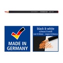 STAEDTLER COLOURED PENCIL SOFT 24 PCS SET  149C M24