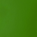 LIQUITEX  BASICS ACRYLIC COLOUR 118ML HOOKER'S GREEN HUE PERMANENT ROW