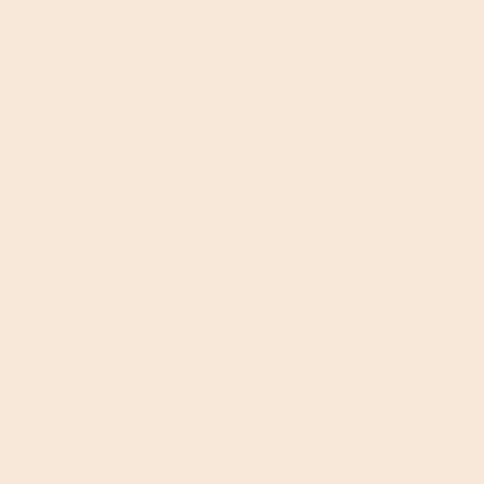 WINSOR & NEWTON PROMARKER BRUSH ALMOND (O819)