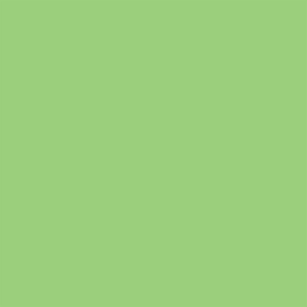 WINSOR & NEWTON PROMARKER BRUSH APPLE (G338)