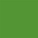 WINSOR & NEWTON PROMARKER BRUSH FOREST GREEN (G356)