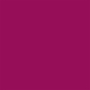 WINSOR & NEWTON PROMARKER BRUSH MAROON (M544)