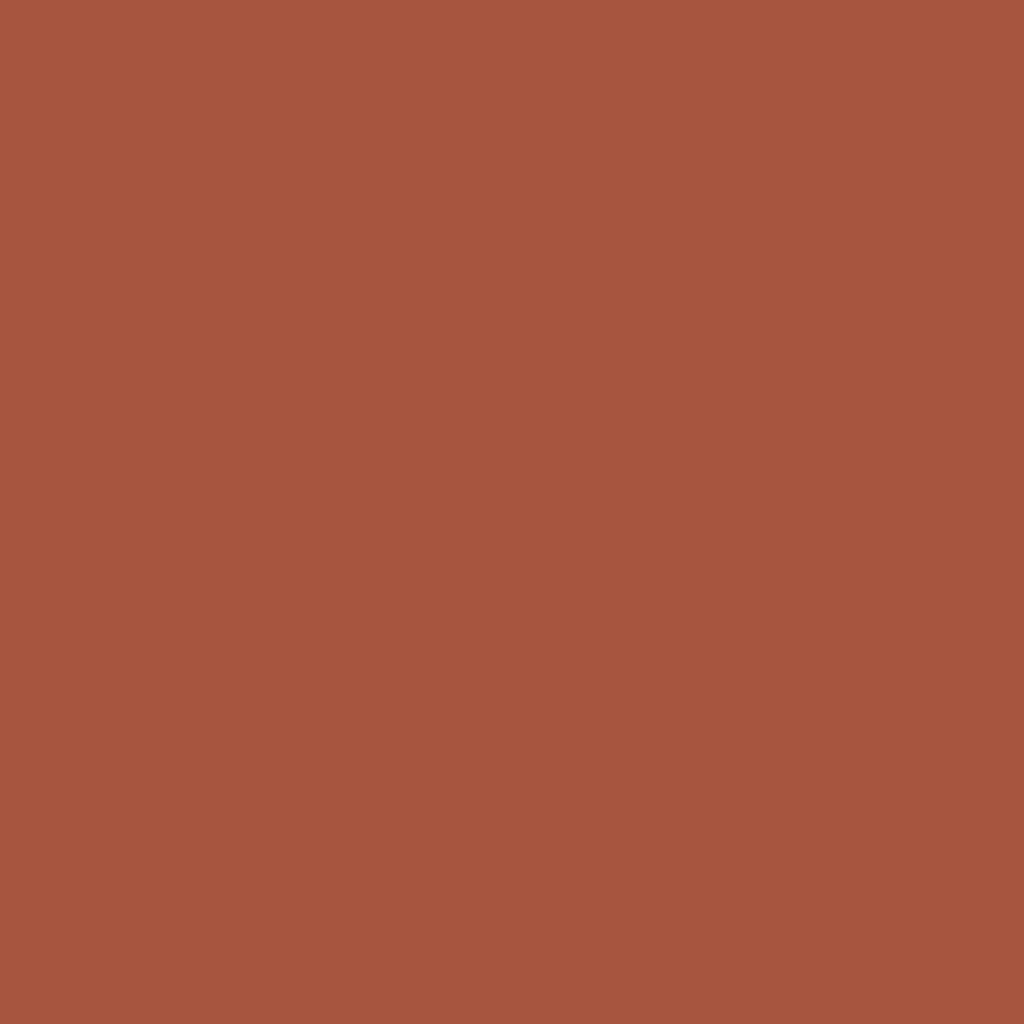 WINSOR & NEWTON PROMARKER BURNT UMBER (R646)