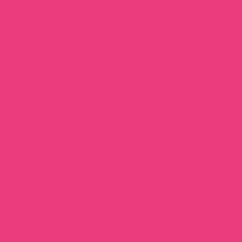 WINSOR & NEWTON PROMARKER CARMINE (R156)