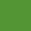 WINSOR & NEWTON PROMARKER FOREST GREEN (G356)