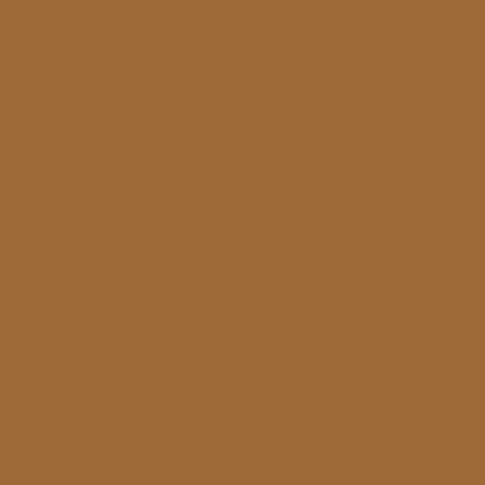 WINSOR & NEWTON PROMARKER HAZELNUT (O534)