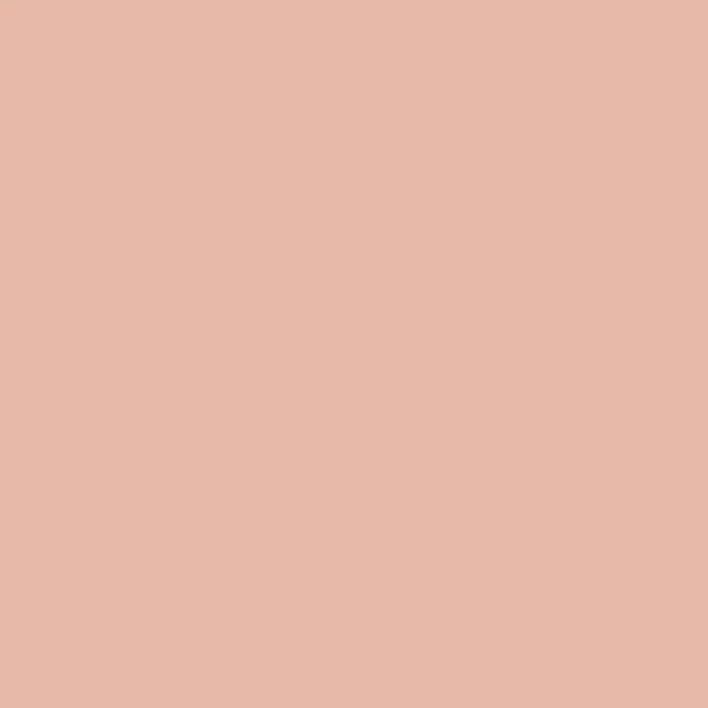WINSOR & NEWTON PROMARKER MUTED PINK (O829)