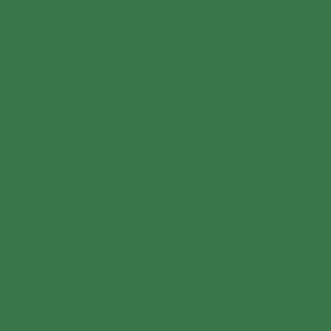 WINSOR & NEWTON PROMARKER PINE (G635)