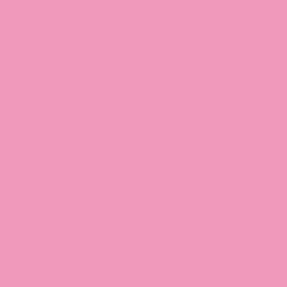 WINSOR & NEWTON PROMARKER ROSE PINK (M727)