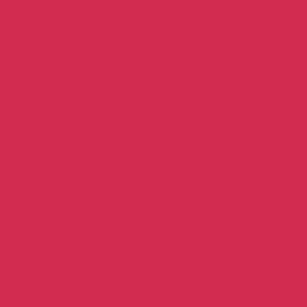 WINSOR & NEWTON PROMARKER RUBY (R455)