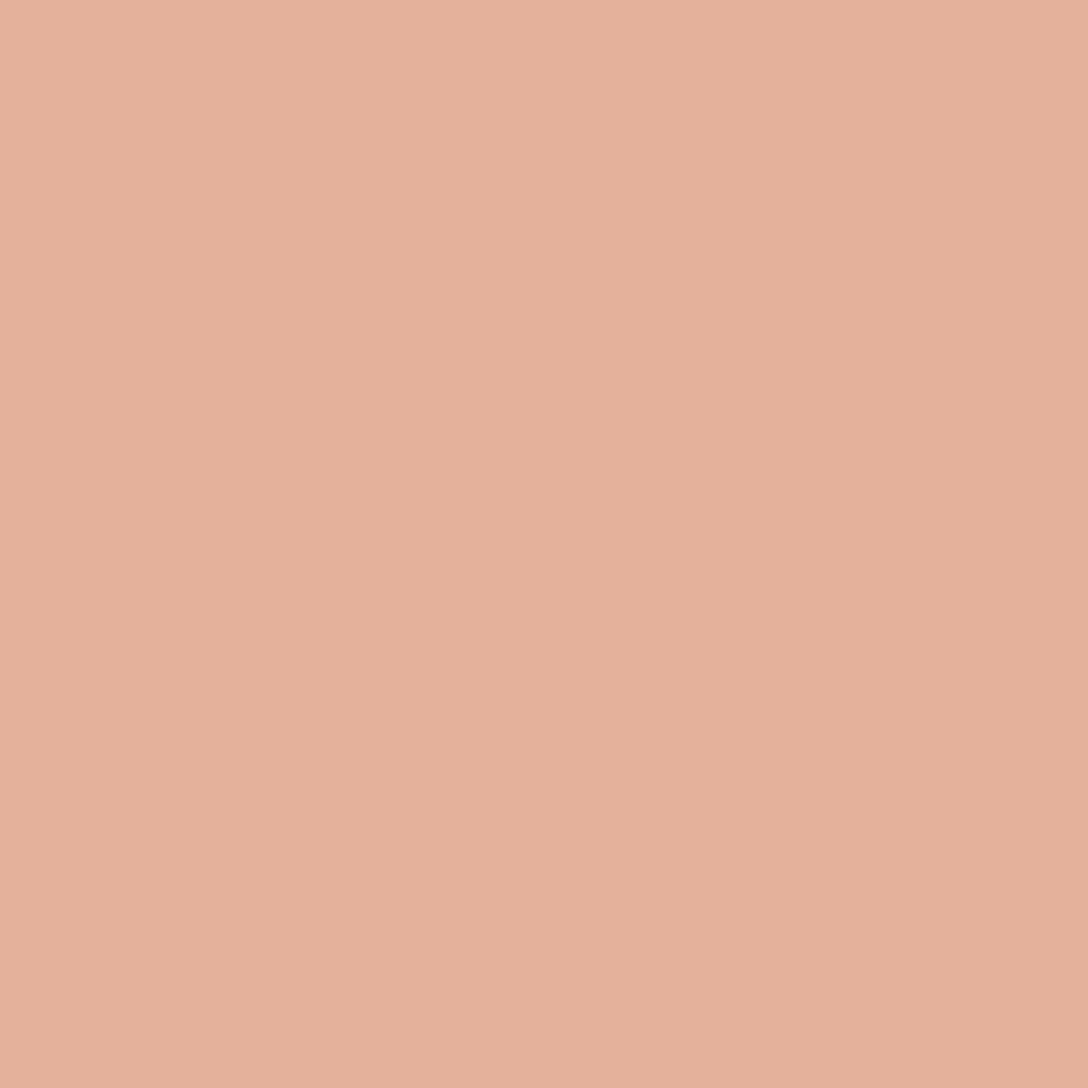 WINSOR & NEWTON PROMARKER TAN (O528)