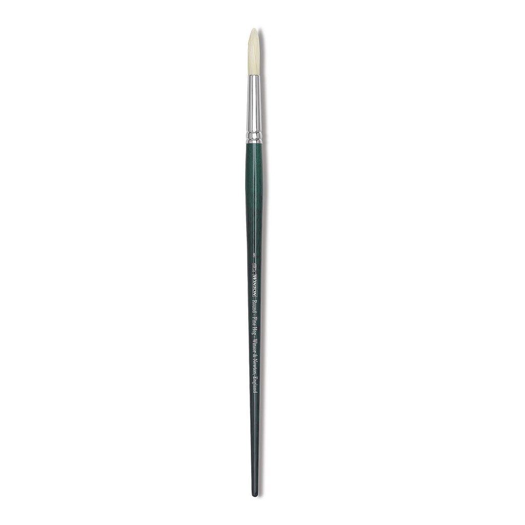 WINSOR & NEWTON WINTON HOG BRUSH ROUND NO.8