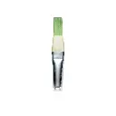 WINSOR & NEWTON WINTON HOG BRUSH SHORT FLAT NO.10