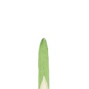 WINSOR & NEWTON WINTON HOG BRUSH SHORT FLAT NO.2