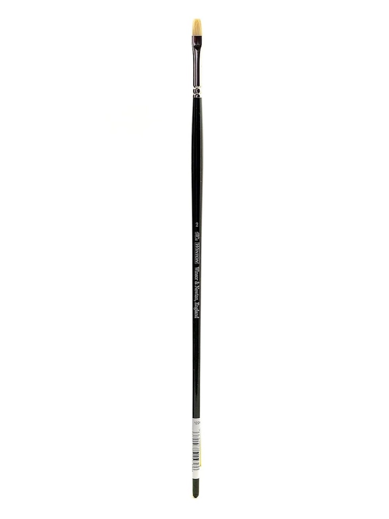 WINSOR & NEWTON WINTON HOG BRUSH SHORT FLAT NO.2