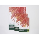 WINSOR & NEWTON WINTON OIL PAD 12 X 9 INCH
