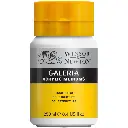 WINSOR & NEWTON GALERIA ACRYLIC ADDITIVE 250ML BTL STRUCTURE GEL