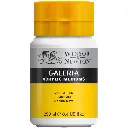 WINSOR & NEWTON GALERIA ACRYLIC ADDITIVE 250ML BTL MATT MEDIUM
