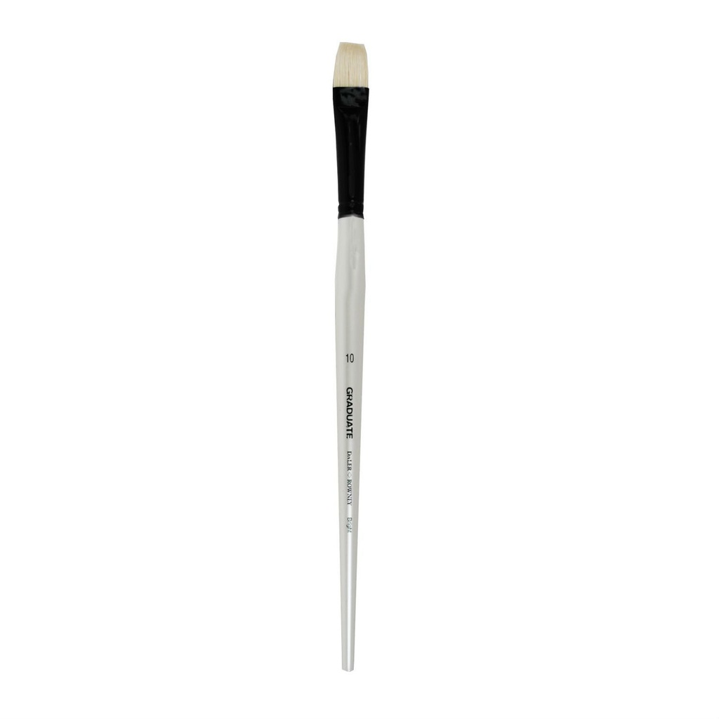 DALER ROWNEY GRADUATE LONG HANDLE BRISTLE BRIGHT SIZE 10