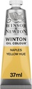 WINSOR & NEWTON WINTON OIL COLOUR 37ML TUBE NAPLES YELLOW HUE