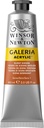 WINSOR & NEWTON GALERIA ACRYLIC COLOUR 60ML TBE BURNT SIENNA