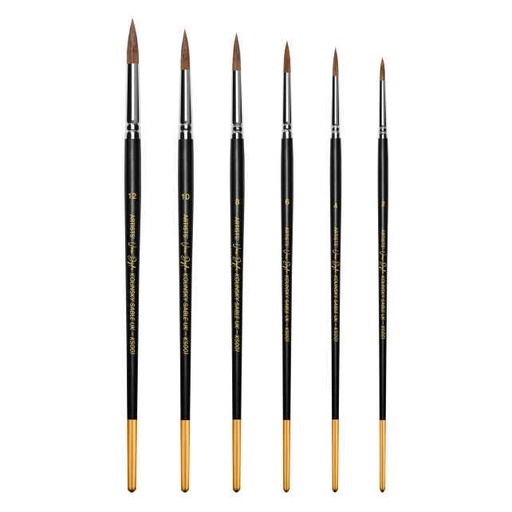 NAUSHADARTS LONG HANDLE ROUND BRUSH 10 MASTER STROKE 