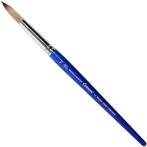 WINSOR & NEWTON COTMAN BRUSH SERIES 111 NO.12