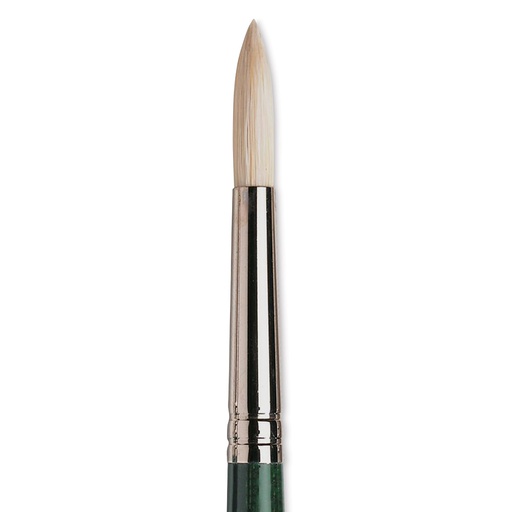 WINSOR & NEWTON WINTON HOG BRUSH ROUND NO.8